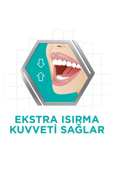 Tat İçermez Yapıştırıcı Krem 40G x 3 Adet